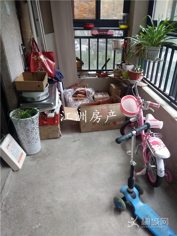 IMG_20191216_140631.jpg