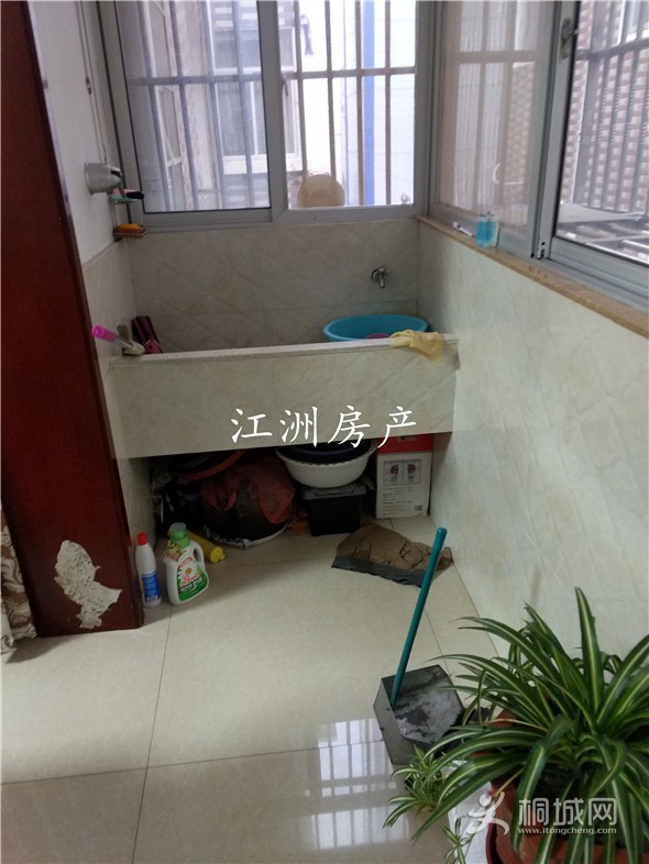 IMG_20191216_163850.jpg
