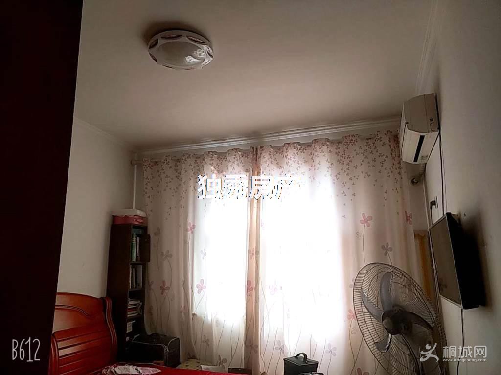 ZyjCSl0IWgSEUIf8AAAAALZnO8g162.jpg