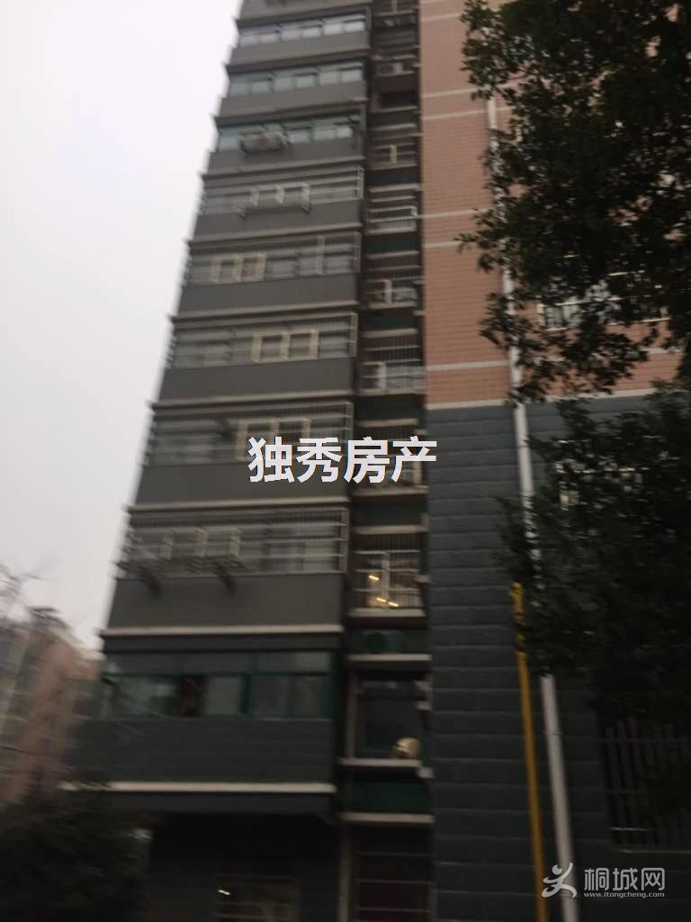 ZyjCSl0IWgSEej2RAAAAAJd2TCI807.jpg