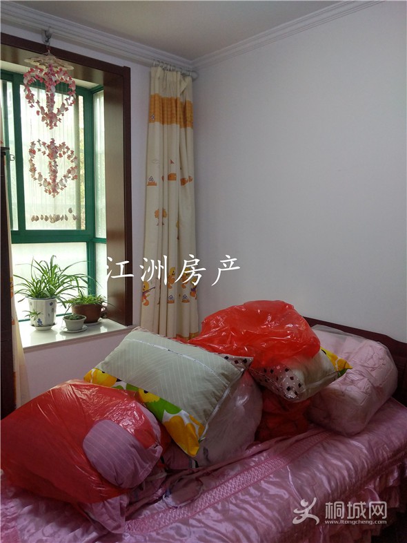 IMG_20191220_161903.jpg