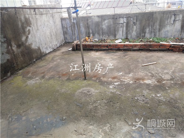 IMG_20191220_151703.jpg