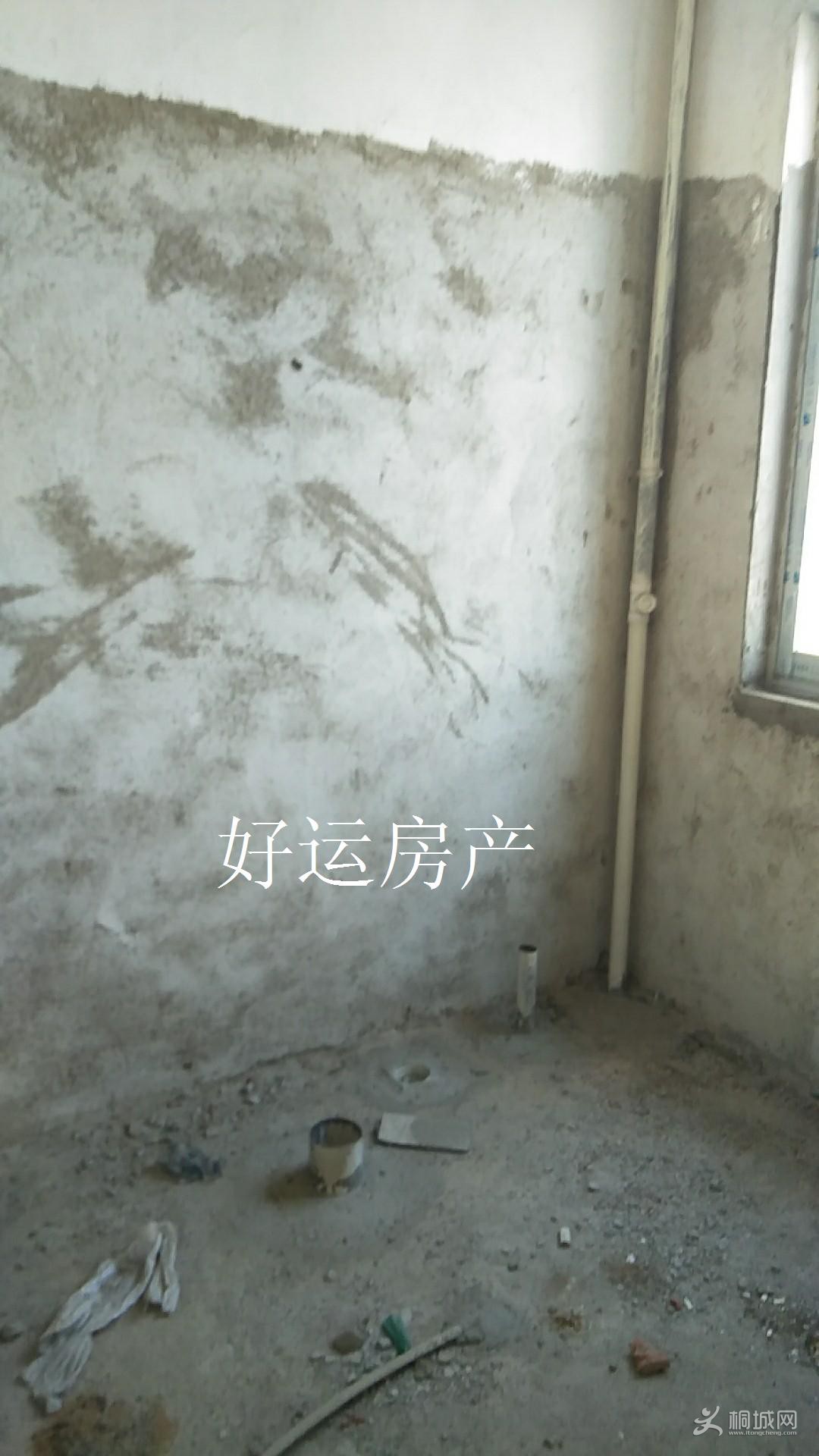 ΢ͼƬ༭_20190501134926.jpg