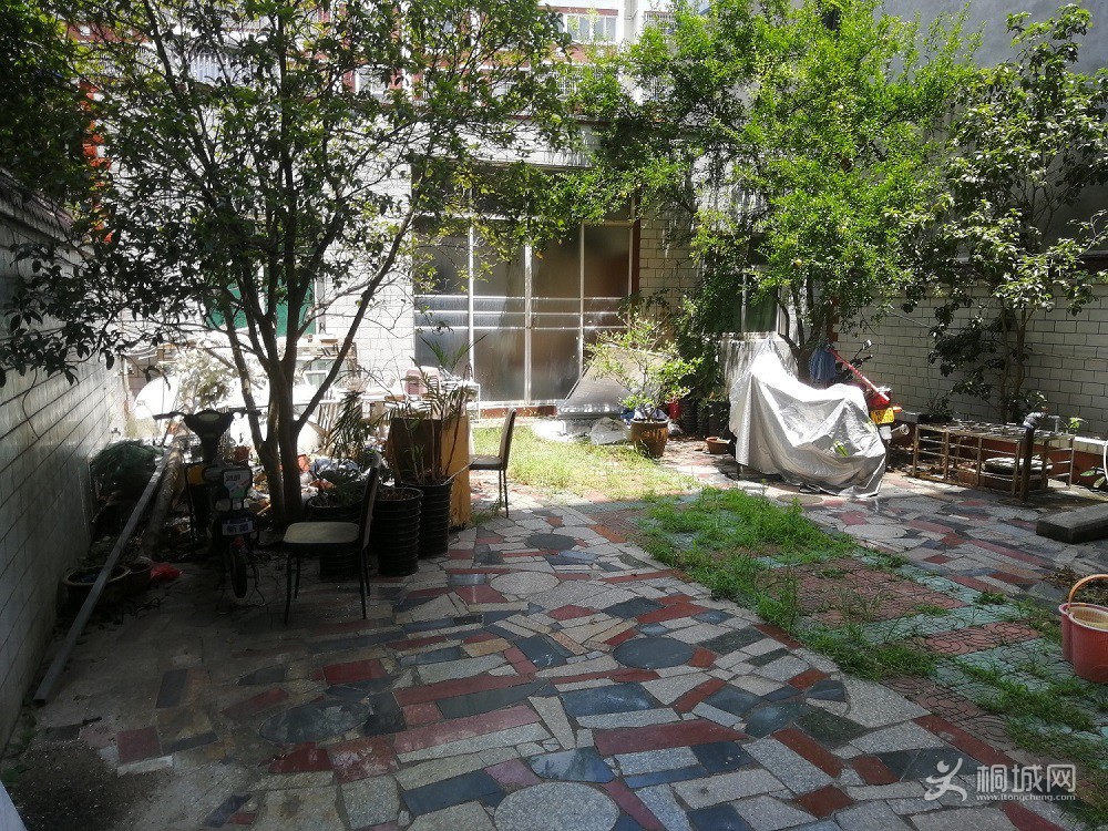 IMG_20180804_121734.jpg