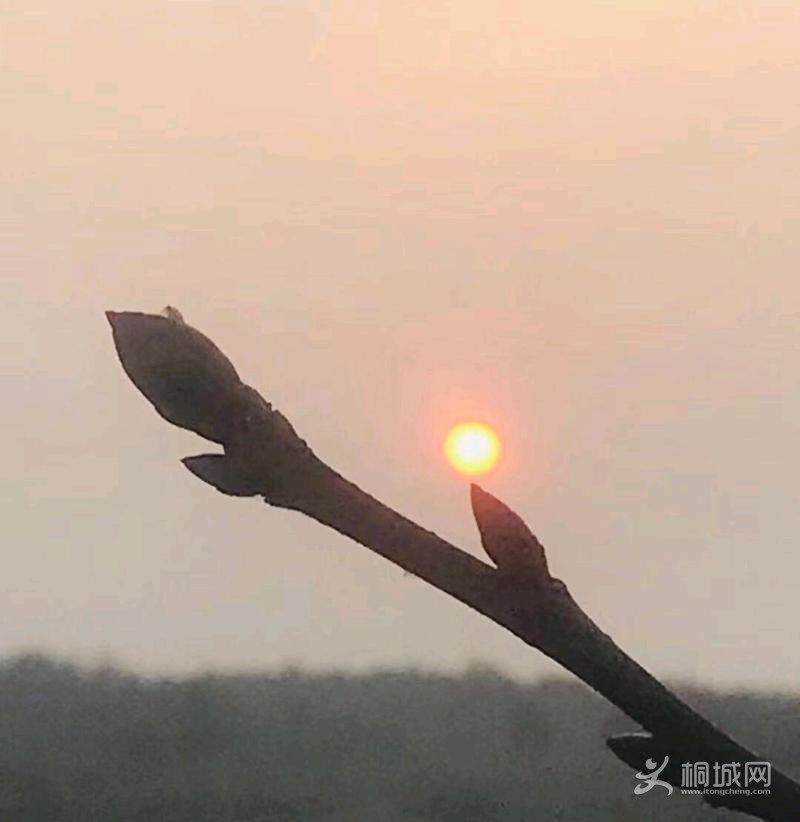mmexport1579573190826.jpeg