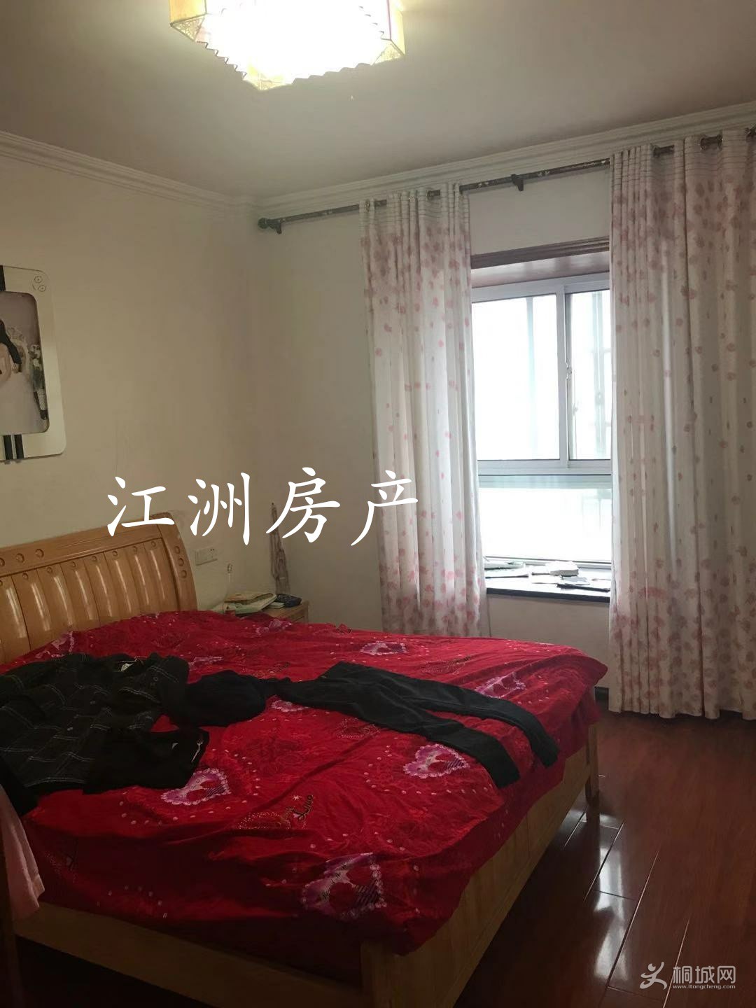 IMG_20191118_090357.JPG