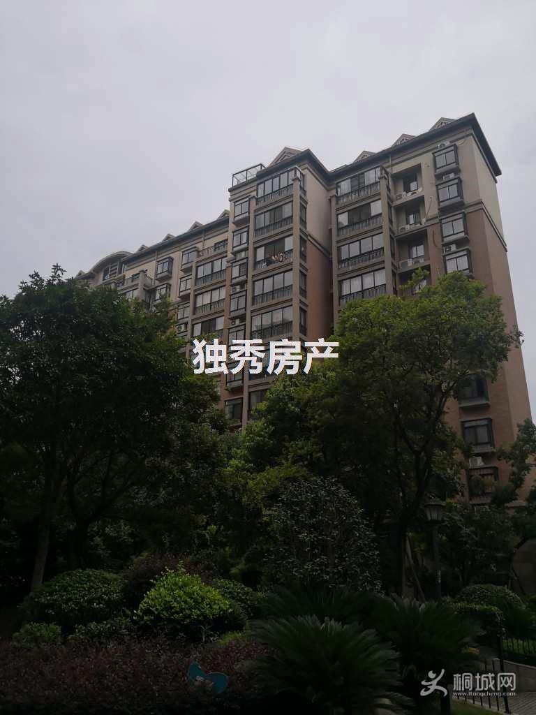 ZyjCHF0lWuOESjGMAAAAAMKyi_c999.jpg