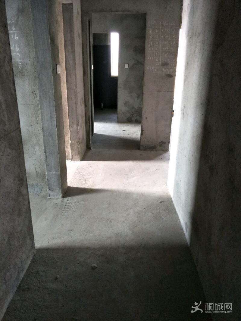 IMG20191106111500.jpeg