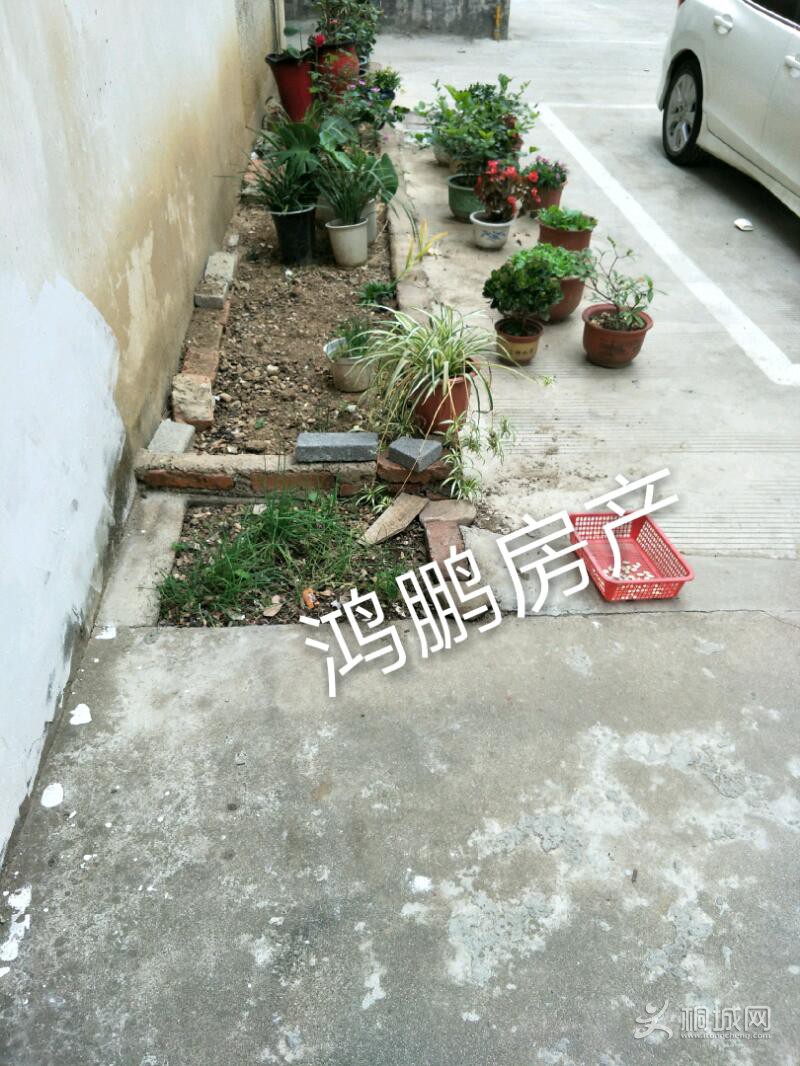 IMG20191124143735_mh1574579111898.jpeg