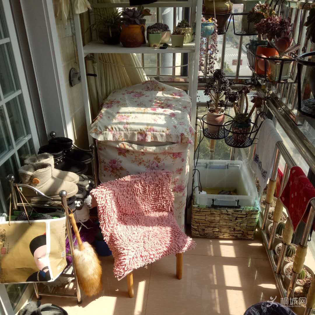 ΢ͼƬ_202003170818314.jpg