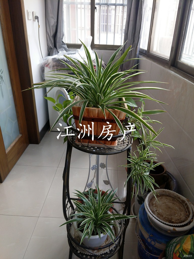IMG_20200403_135923.JPG