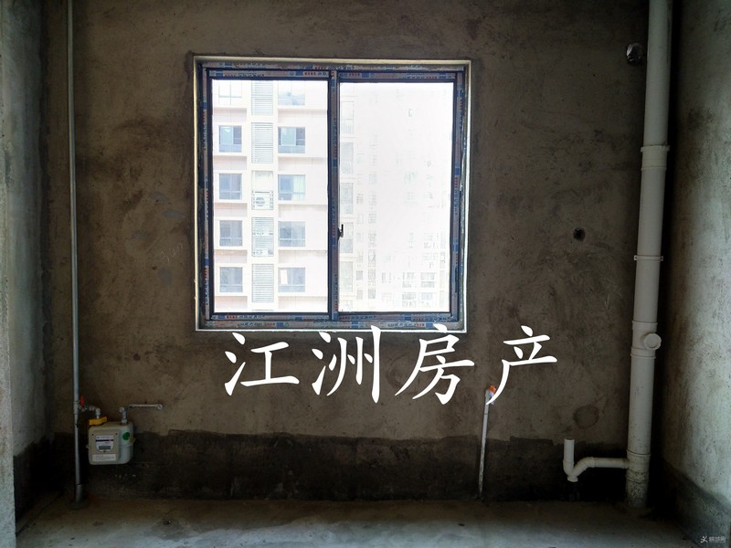 IMG_20200409_171739.JPG