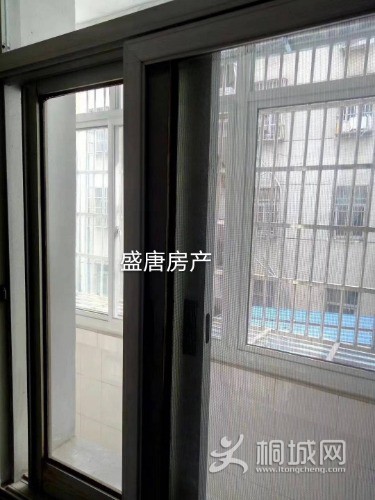mmexport1587005923300.jpg