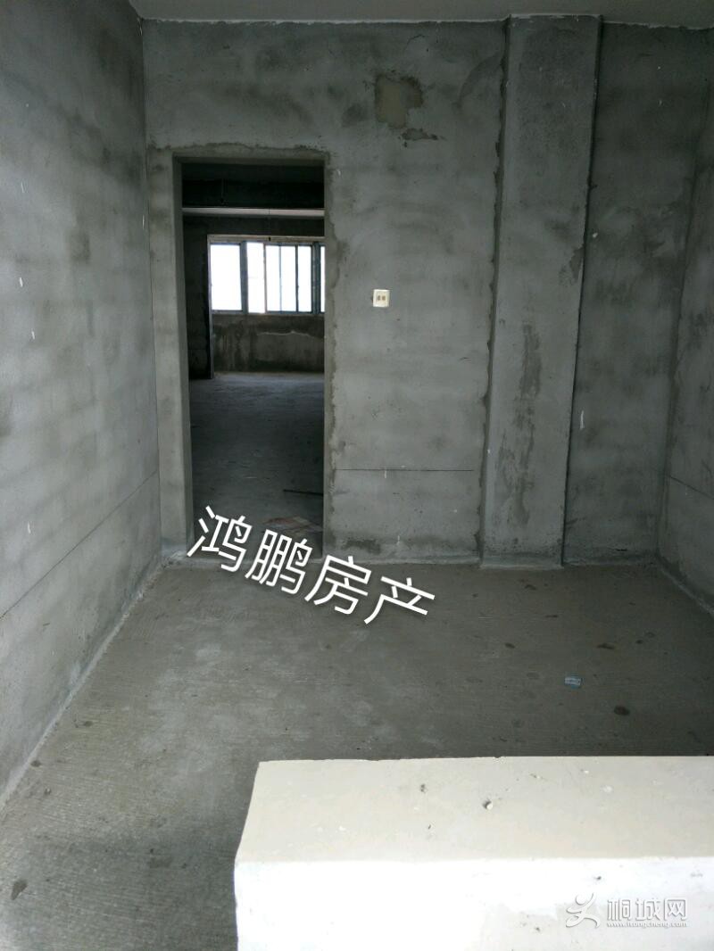 IMG20191122113408_mh1574394762347.jpeg