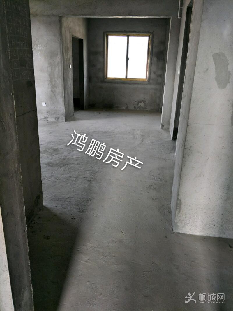 IMG20191106111446_mh1573011718887.jpeg