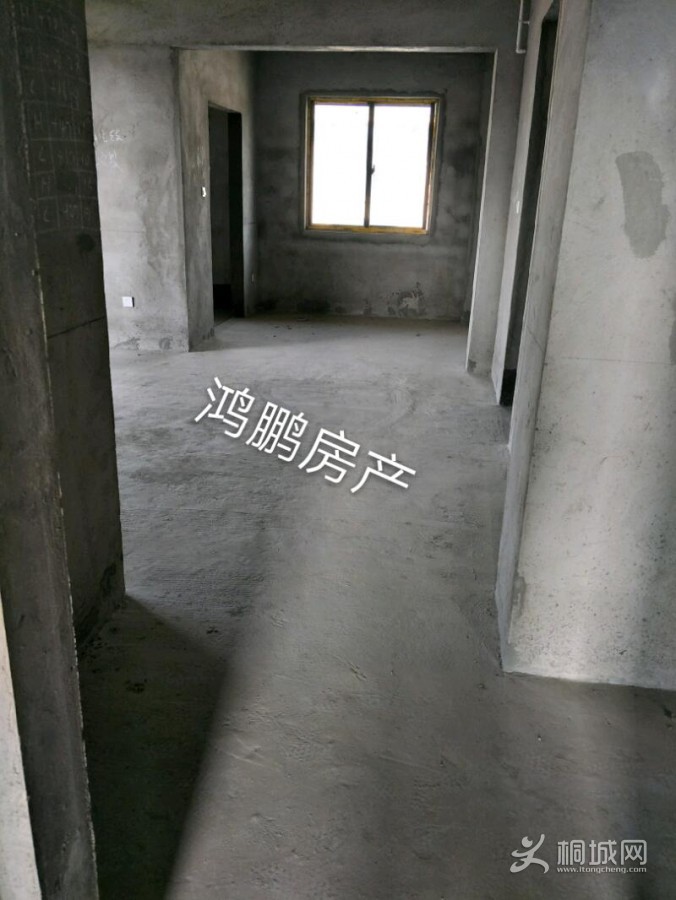 IMG20191106111446_mh1573011718887.jpeg