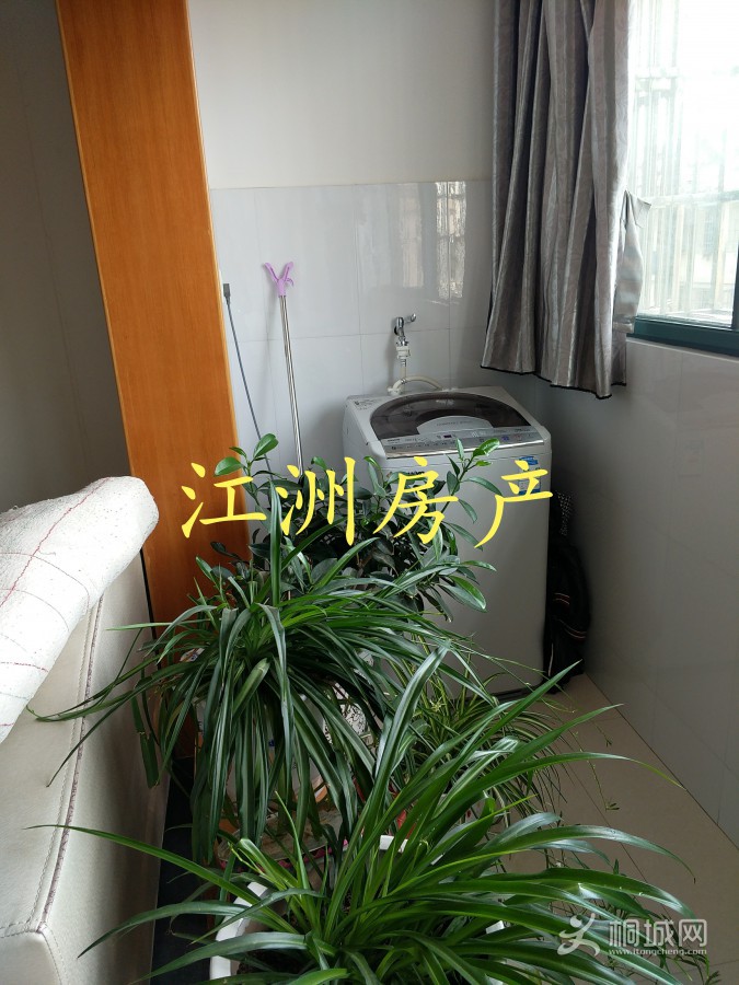 IMG_20200521_162334.JPG