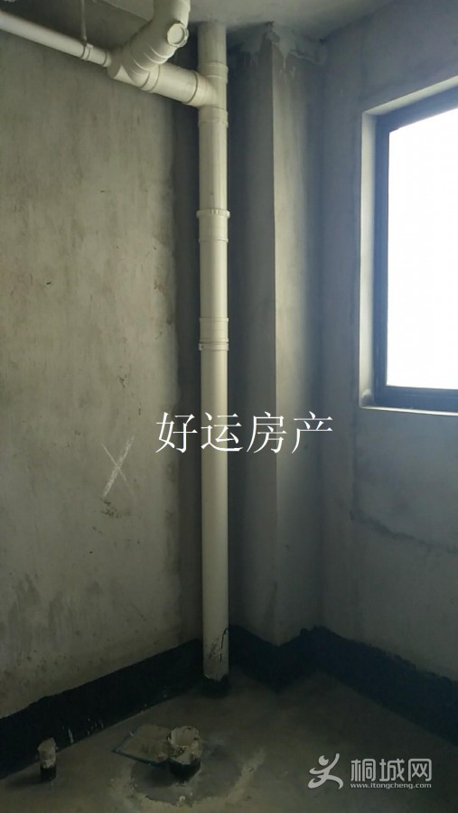 ΢ͼƬ༭_20190609100807.jpg