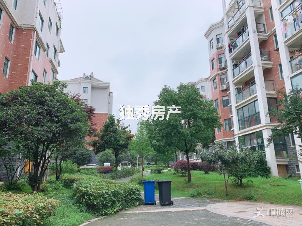 [ͼ]ޱǩ0.jpg