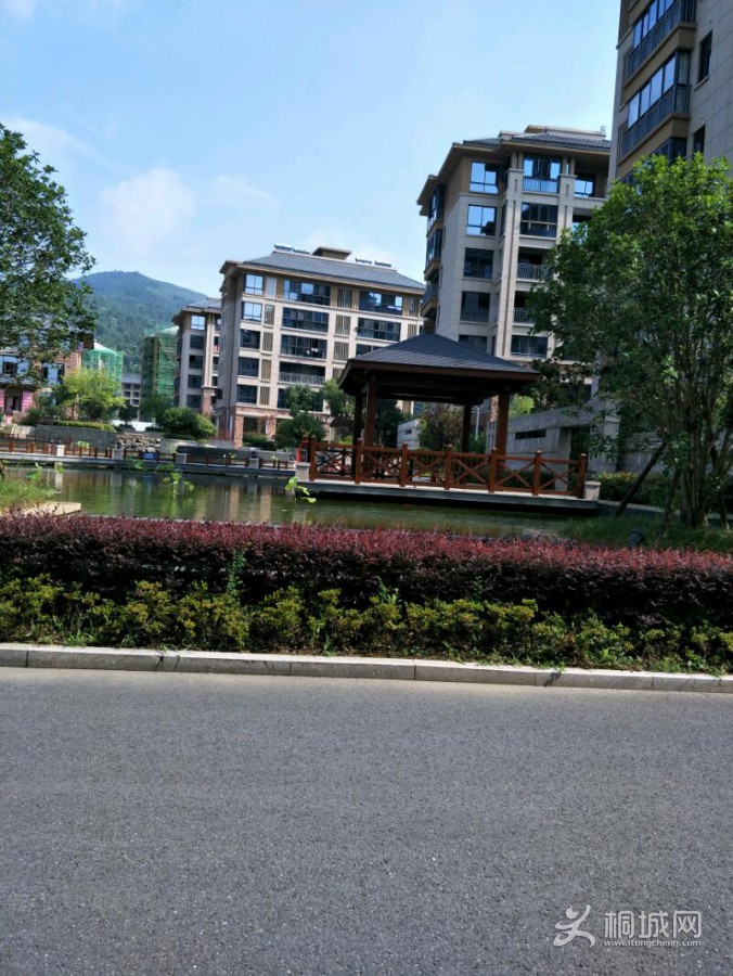 IMG20190727091444.jpeg