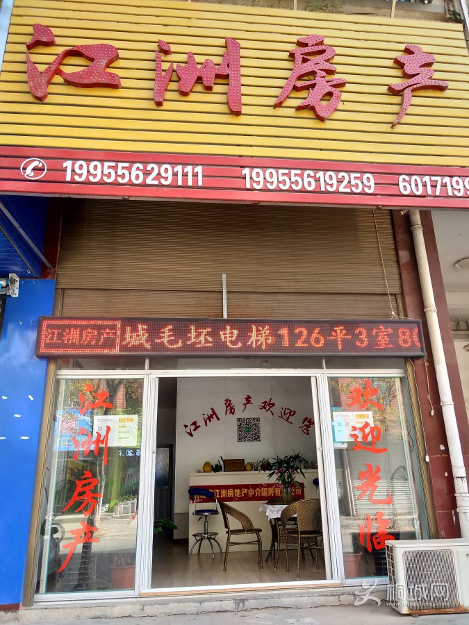 IMG_20191101_115615.jpg