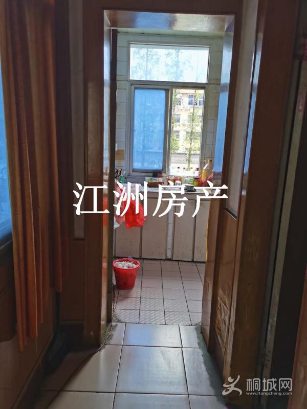 mmexport1596339038537.jpg