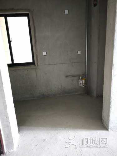 mmexport1598678547216.jpg
