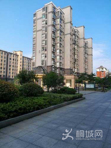 mmexport1598968157770.jpg