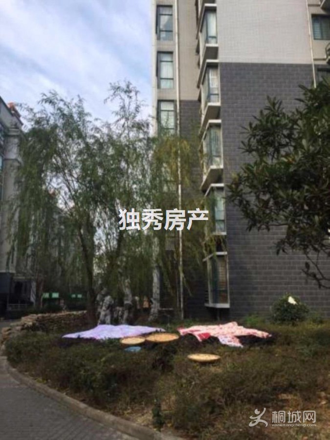 [ͼ]ޱǩ11.jpg