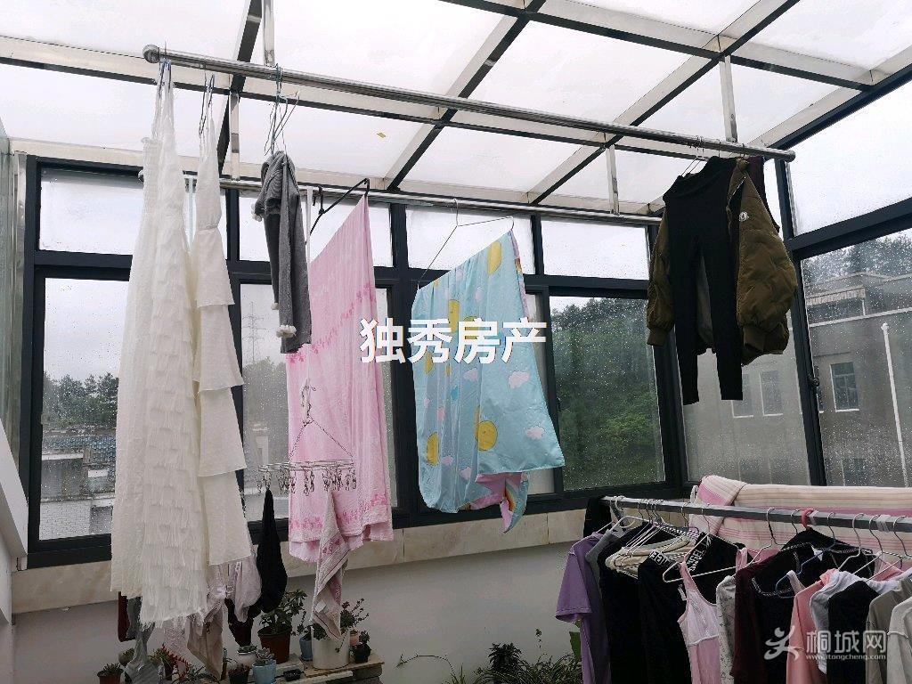 [ͼ]ޱǩ15.jpg