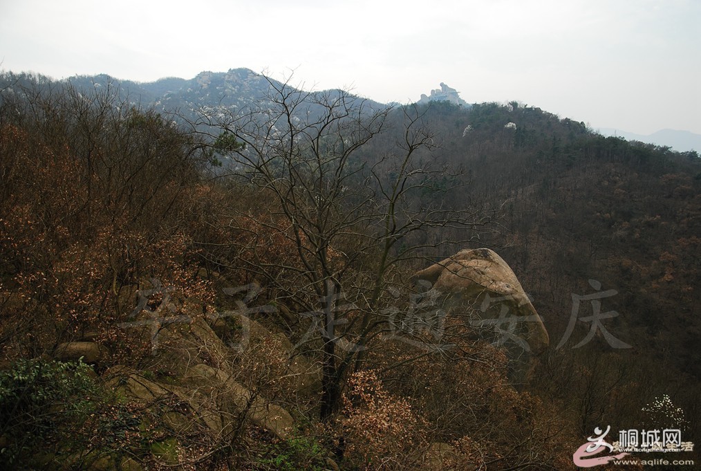 180939tn2ujs2j3knuskrs.jpg