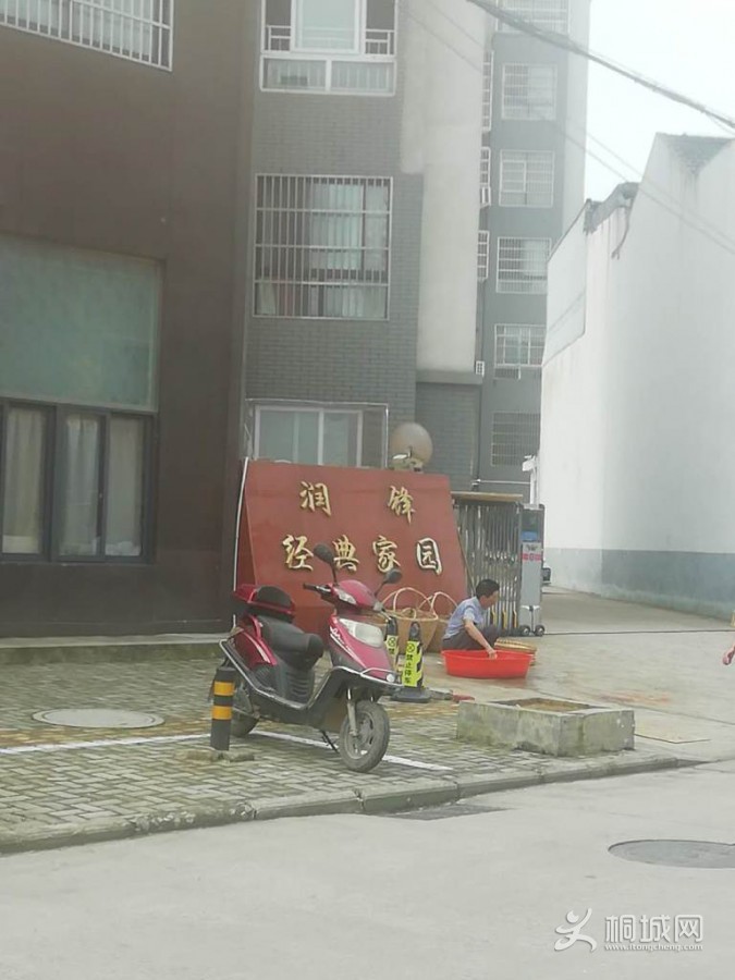 [ͼ]ޱǩ0.jpg