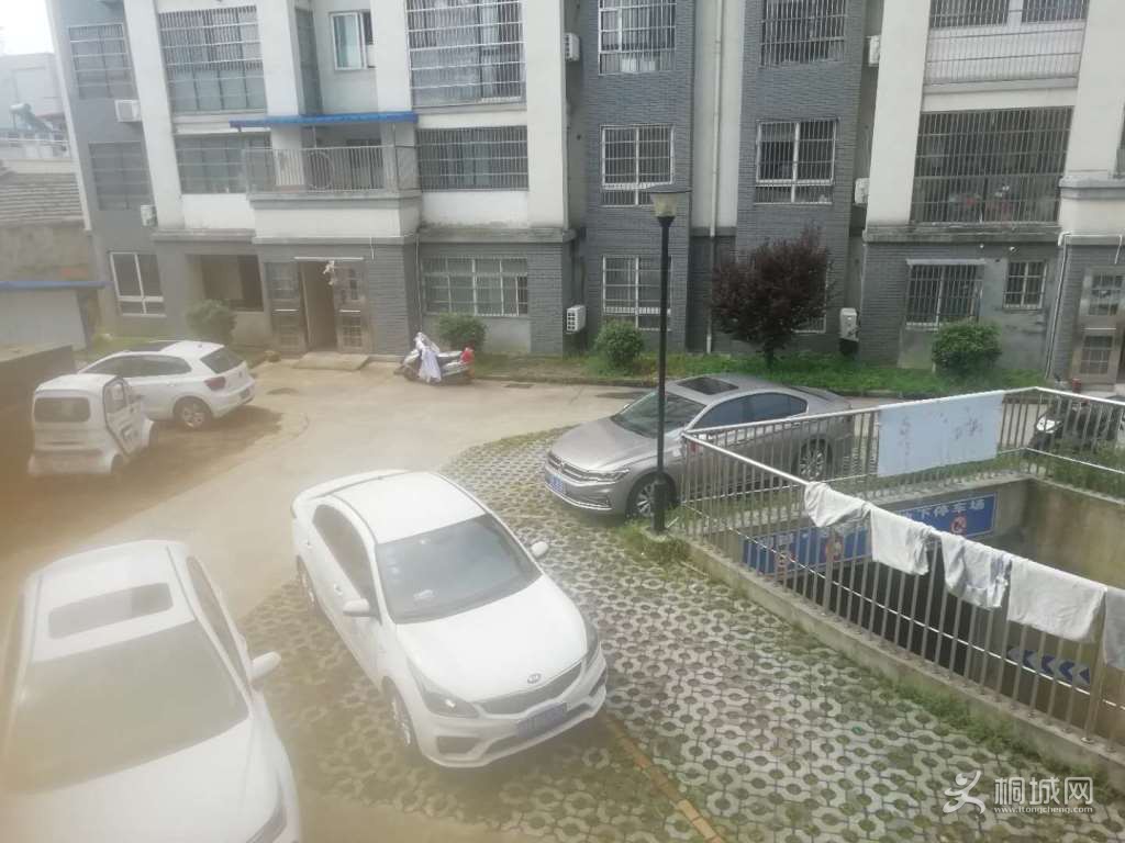 [ͼ]ޱǩ4.jpg