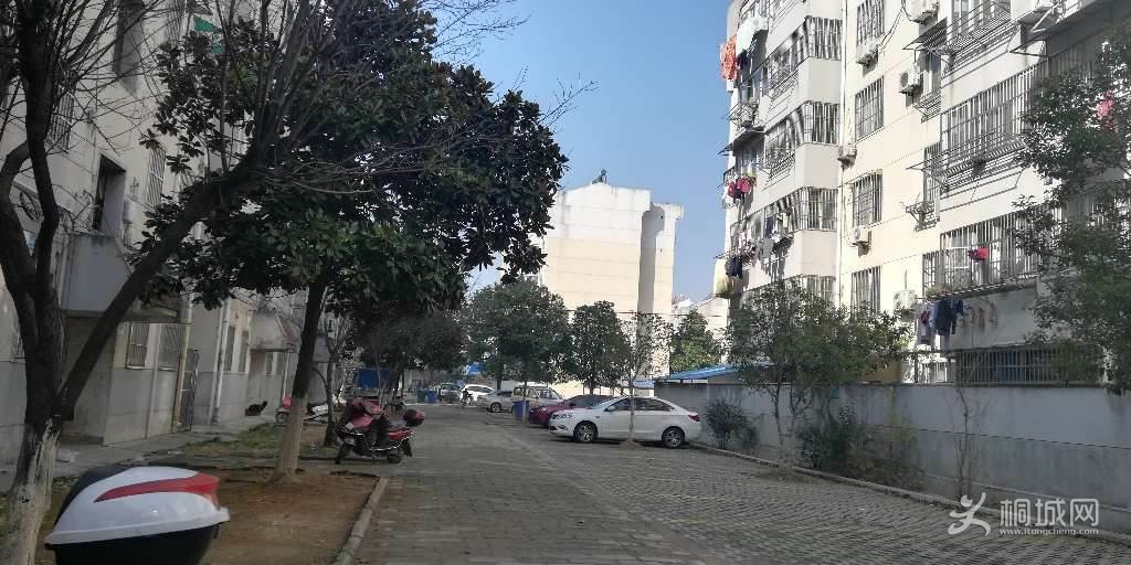 ͼ_ޱǩ(1).jpg
