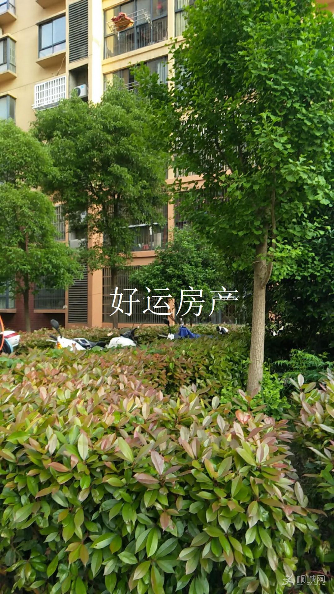 ΢ͼƬ༭_20190521094221.jpg