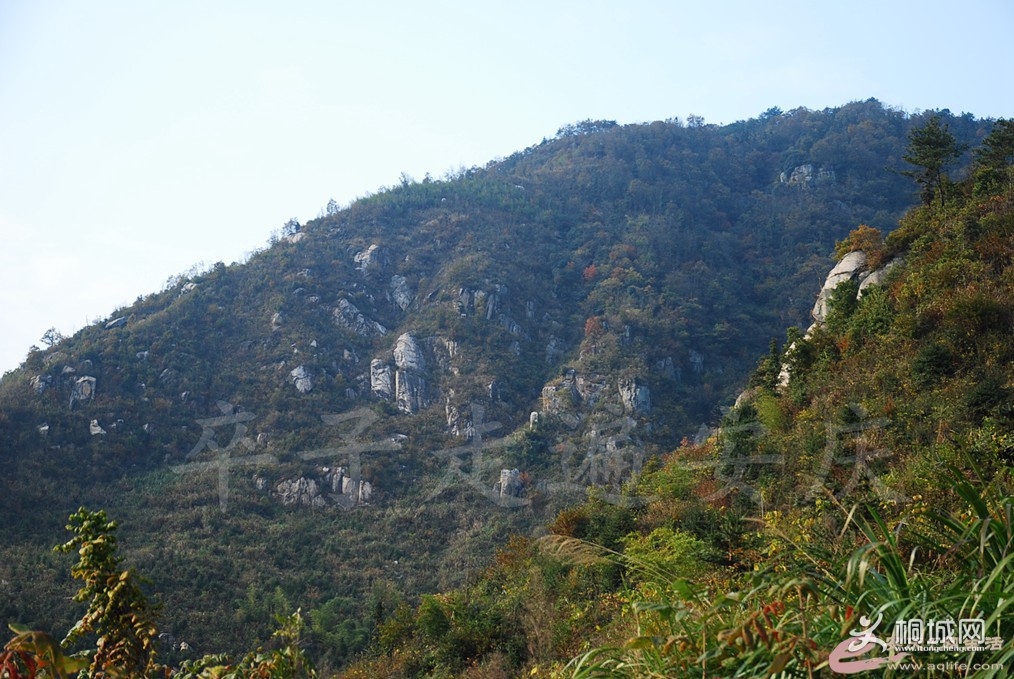 211043agycyc1kkfnfaykm.jpg