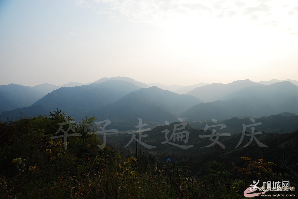 211040qcbxlqyzrlbzigib.jpg