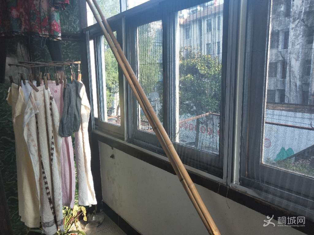 ͼ_ޱǩ(9).jpg