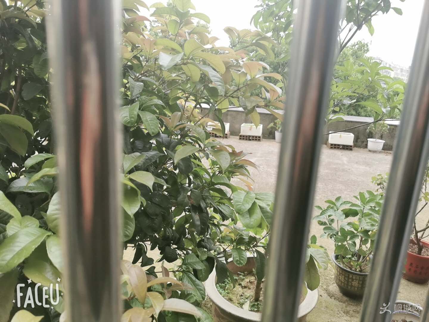 ͼ_ޱǩ(7).jpg