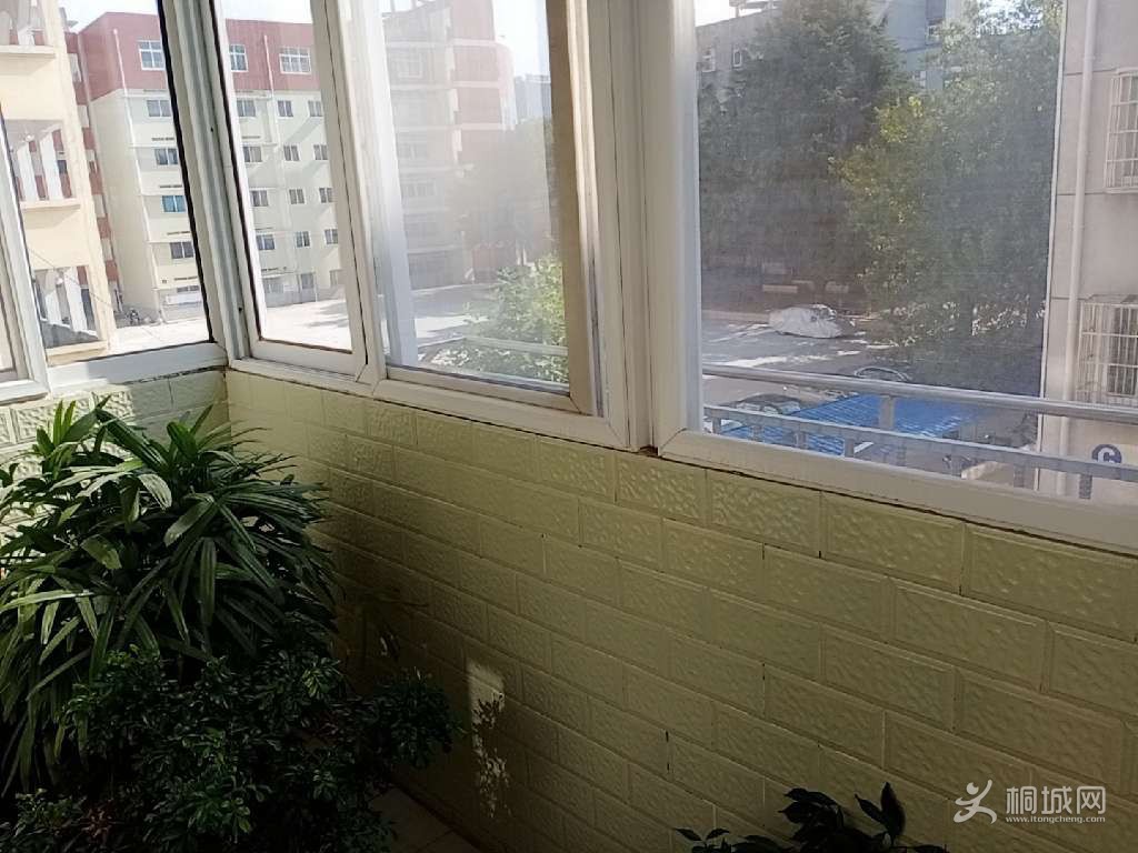 ͼ_ޱǩ(7).jpg