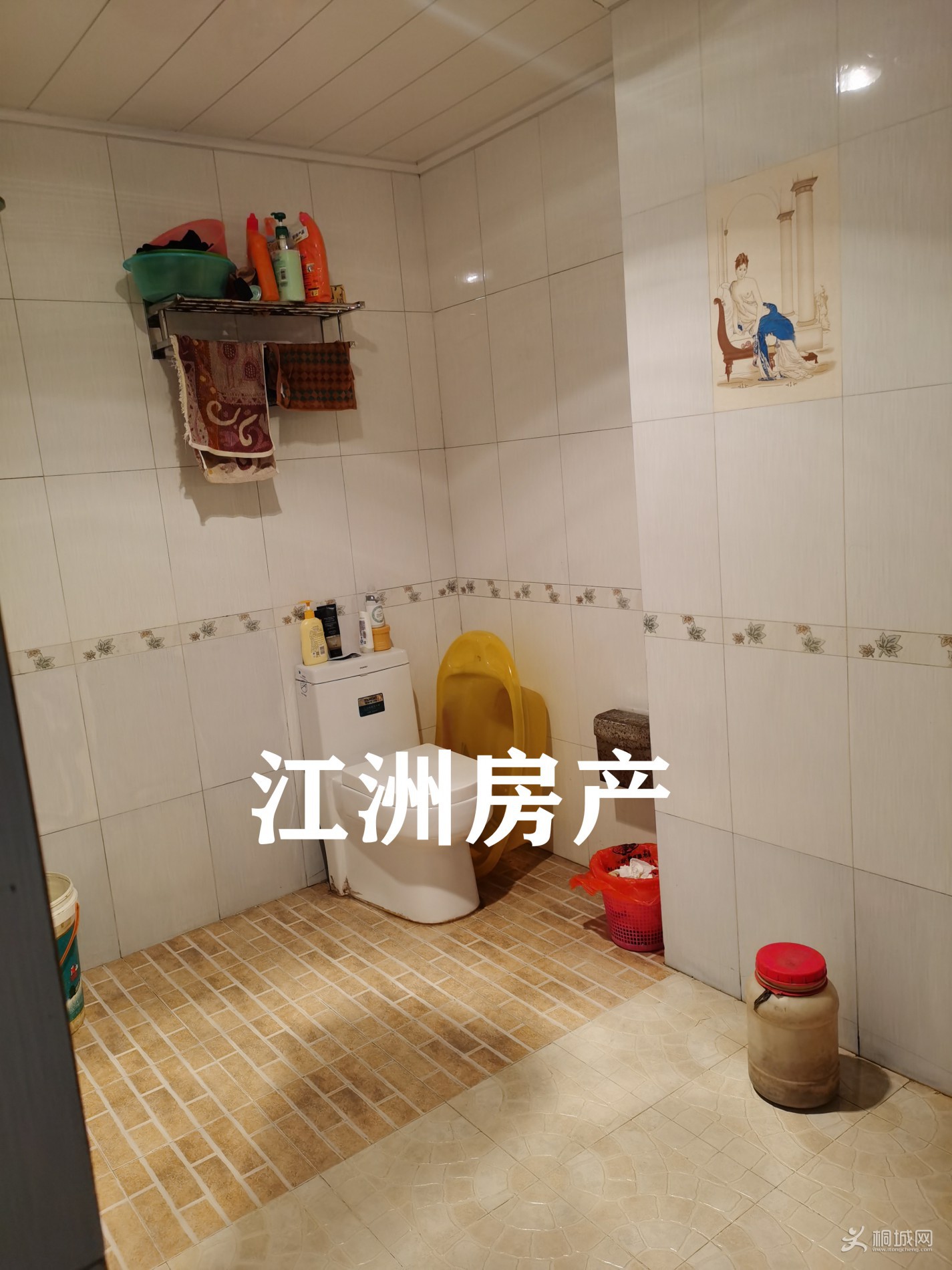 IMG_20201107_101004.jpg