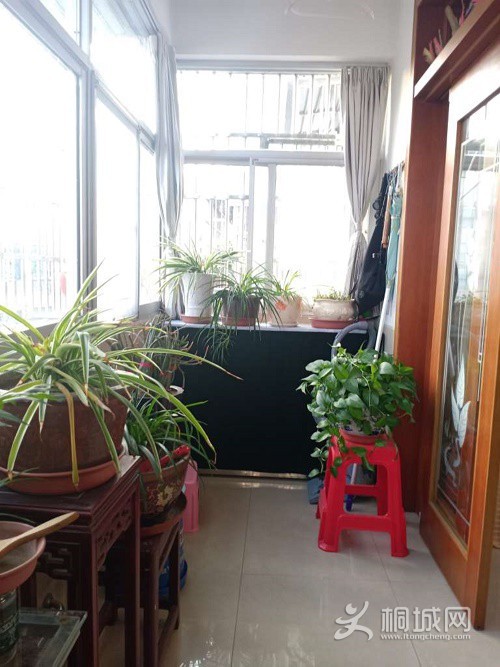 ͼ_ޱǩ(8).jpg