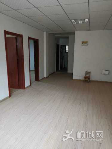 mmexport1606118493299.jpg