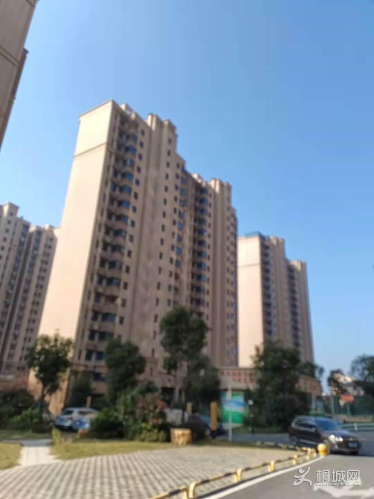 ͼ_ޱǩ(9).jpg