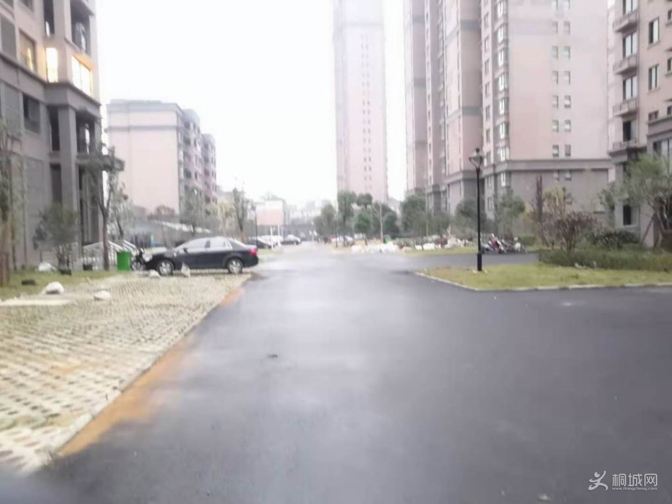 ͼ_ޱǩ(11).jpg