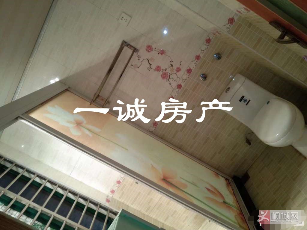 ZyjCH1_YB1eAcHZQAAEh2p4Bvt4115_edit_2974509637119.jpg