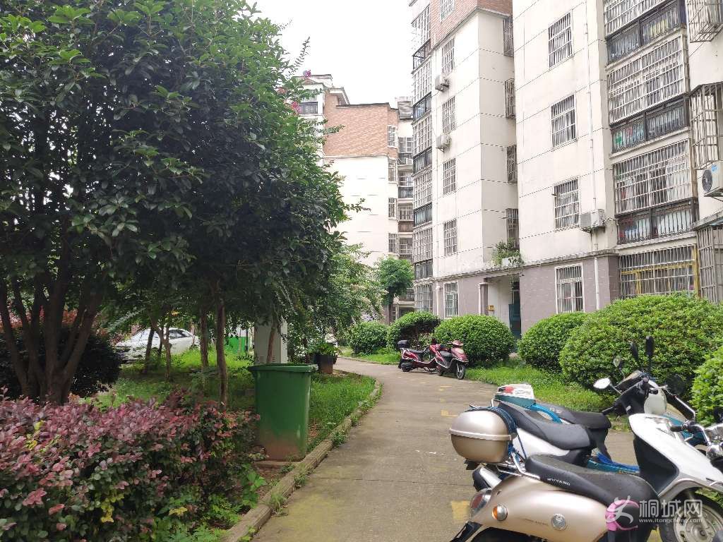ͼ_ޱǩ(3).jpg