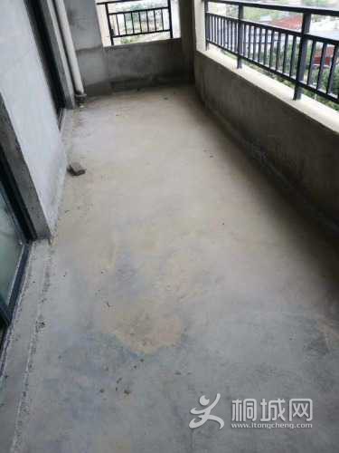 mmexport1608433508836.jpg