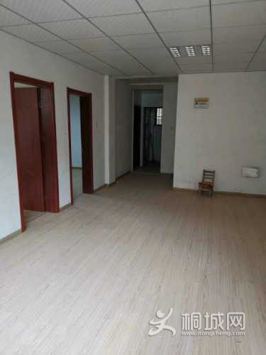 mmexport1608796844118.jpg