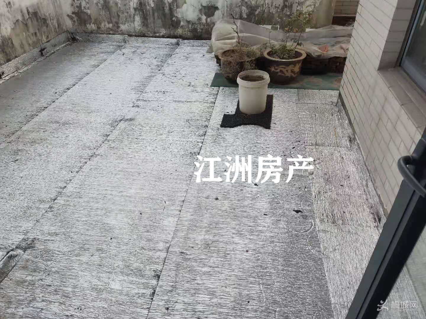 mmexport1608853776302.jpg